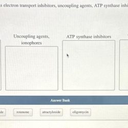 Classify the metabolic poisons as electron transport inhibitors