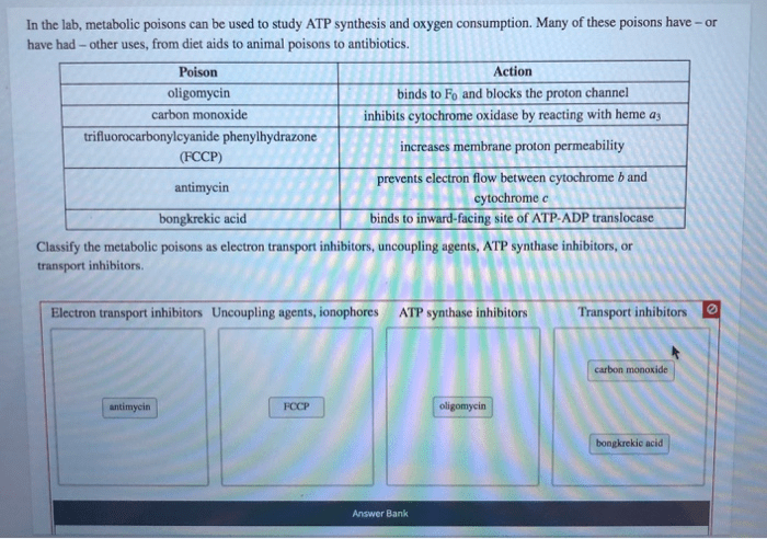 Ciclo familiar etapas poisons metabolic atp familiares crisis